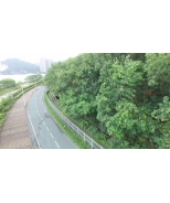 DJI_0272