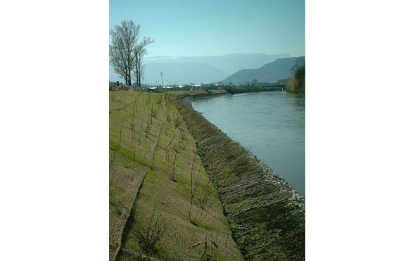 IM001245_lo res