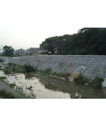 DSC03750