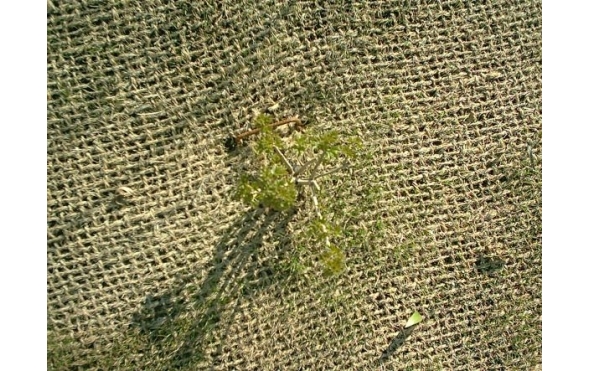 IM001248_lo res