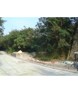 DSC00849