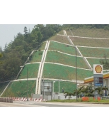 (7) Route 9