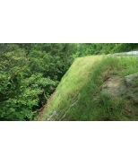 20140702_100418