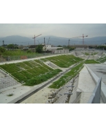 DC200302_NW10