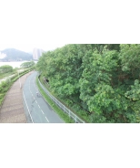 DJI_0272