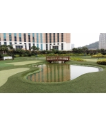 20150301_102507