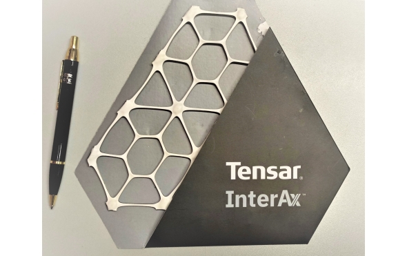 Tensar InterAx