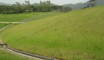 DSC02156
