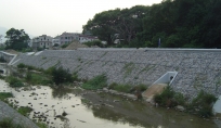 DSC03750