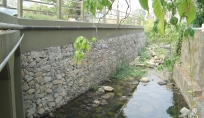 DSC02421